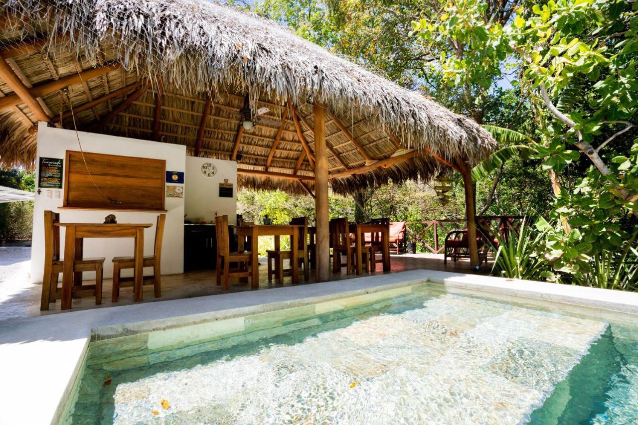 Frühstückspension Antema Secteur Tamarindo, Piscine, Yoga, Gym, Jungle Et Paix