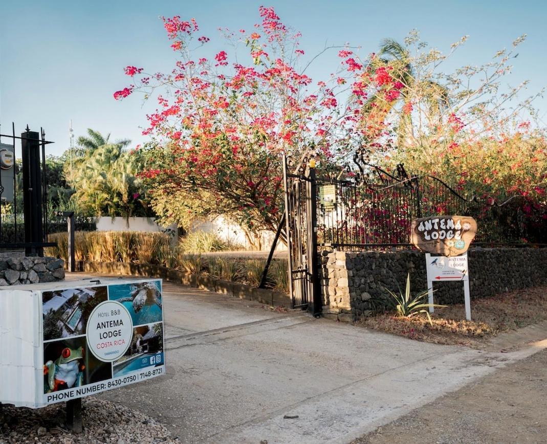 Frühstückspension Antema Secteur Tamarindo, Piscine, Yoga, Gym, Jungle Et Paix