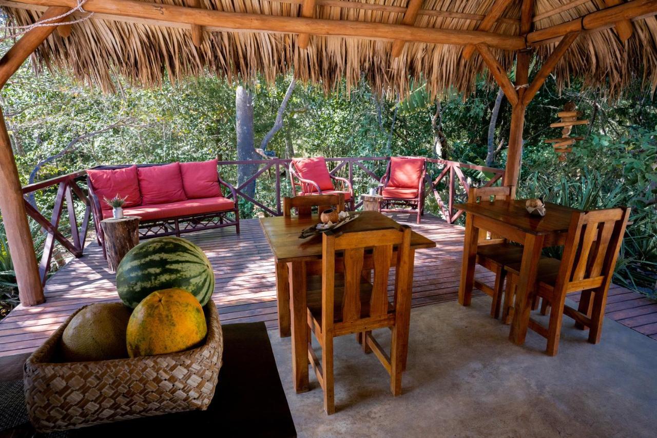 Antema Secteur Tamarindo, Piscine, Yoga, Gym, Jungle Et Paix 4*