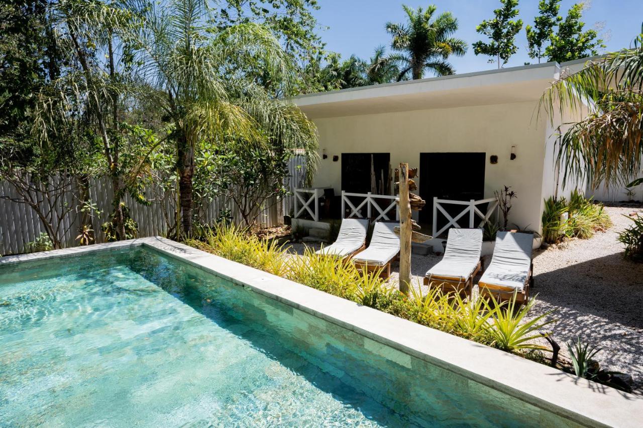 Frühstückspension Antema Secteur Tamarindo, Piscine, Yoga, Gym, Jungle Et Paix Tamarindo
