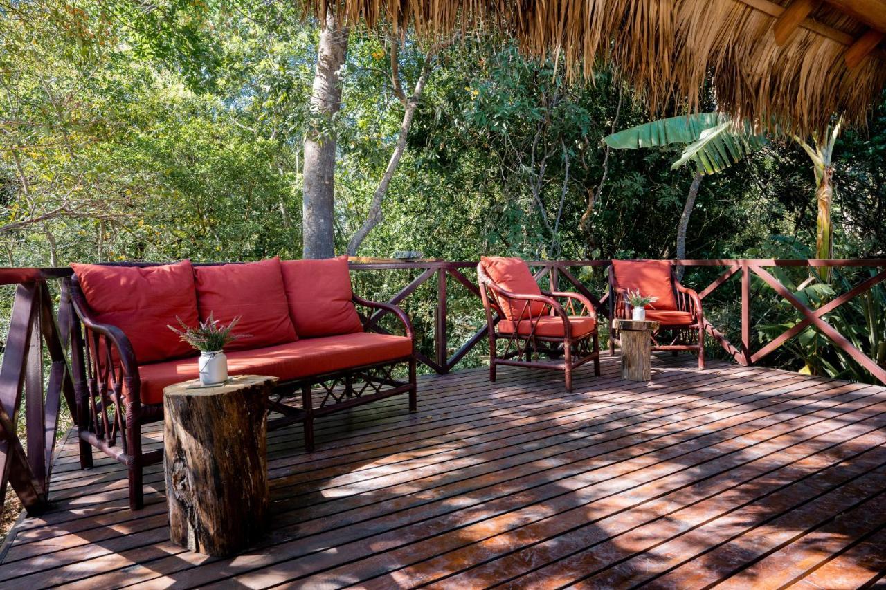 Antema Secteur Tamarindo, Piscine, Yoga, Gym, Jungle Et Paix 4*