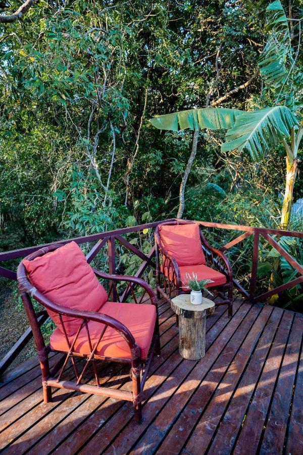 Antema Secteur Tamarindo, Piscine, Yoga, Gym, Jungle Et Paix 4*