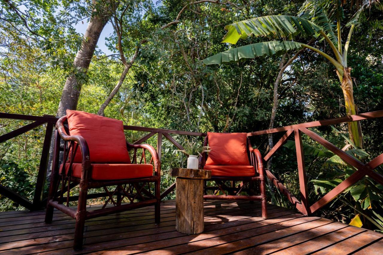 Antema Secteur Tamarindo, Piscine, Yoga, Gym, Jungle Et Paix